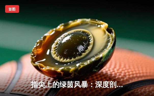 指尖上的绿茵风暴：深度剖析体育资讯网的现状与未来